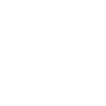 Traffic Law